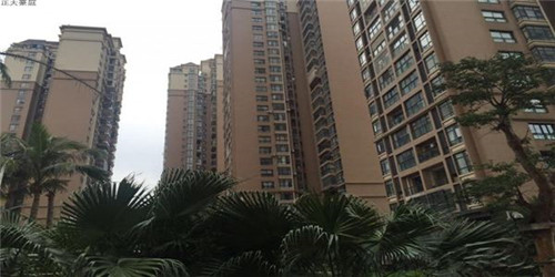 笨小鸭手撕面包