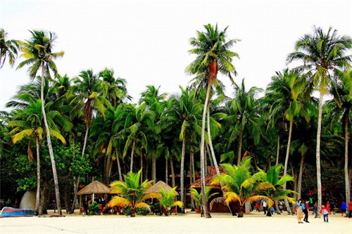 长野拉面关谷日式拉面