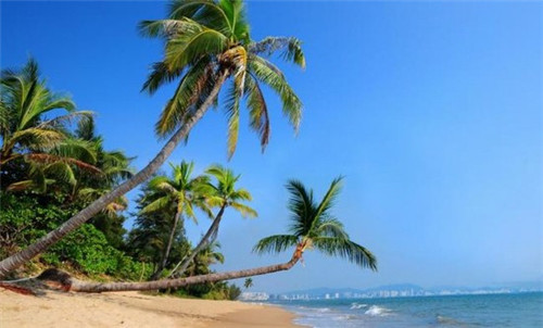 鱼情于你烤鱼饭