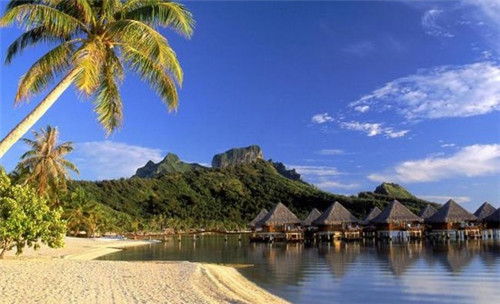 小鱼堂新派纸包鱼