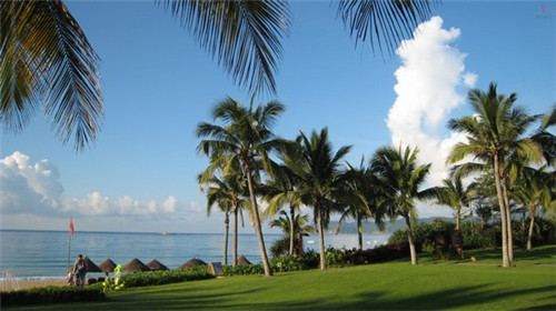 茶壶加盟连锁店排行榜，茶壶专卖店