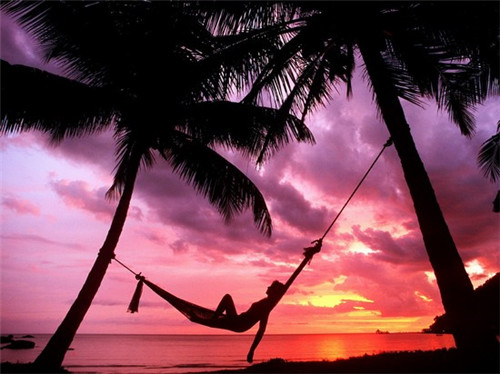 芝士蛋糕加盟项目有哪些，芝士蛋糕连锁