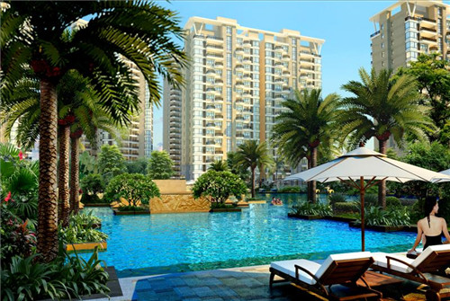 女人佩戴吊兰的好处（吊兰带子怎么系）